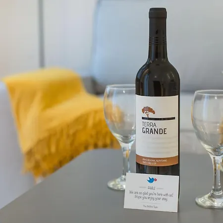 Santa Catarina Experience In Apartment Porto