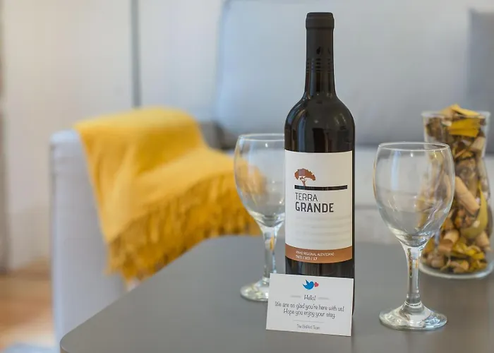 Santa Catarina Experience In *