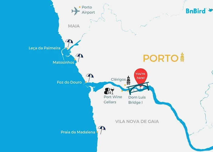 Apartman Santa Catarina Experience In Porto