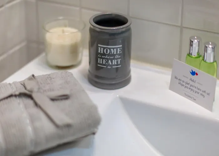 Apartament Santa Catarina Experience In *