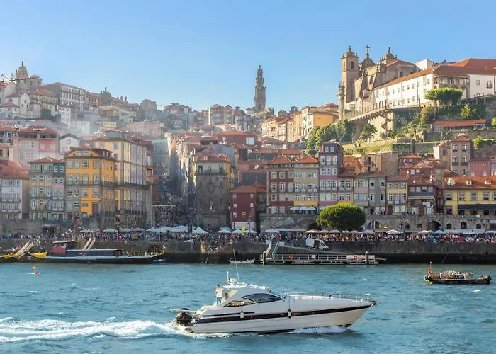 Santa Catarina Experience In